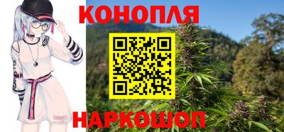 гидра Можга