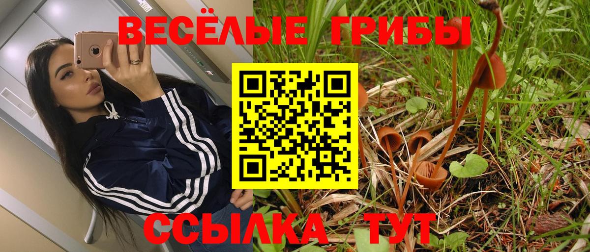 Галлюциногенные грибы Psilocybe  Вход с VPN  Учалы 